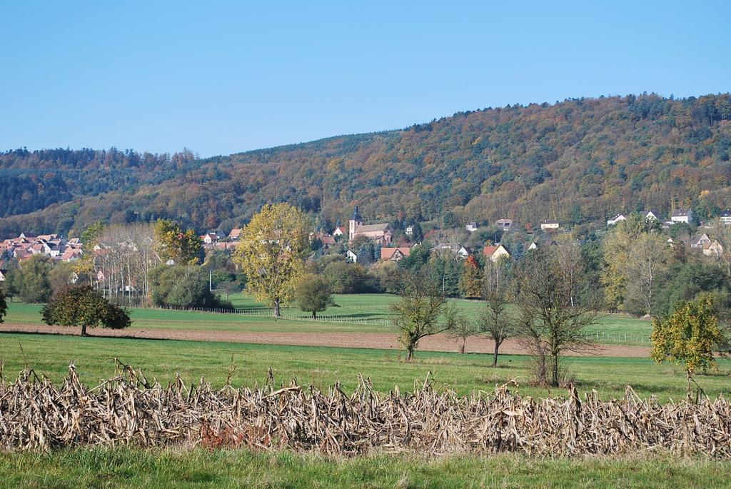 Chambres d'hôtes Les vignes Saint-Jean-Saverne Extérieur photo