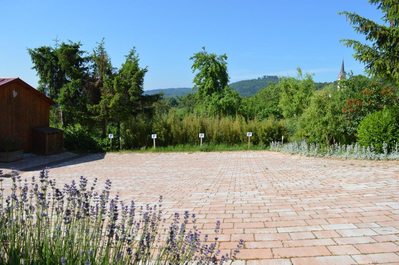 Chambres d'hôtes Les vignes Saint-Jean-Saverne Extérieur photo