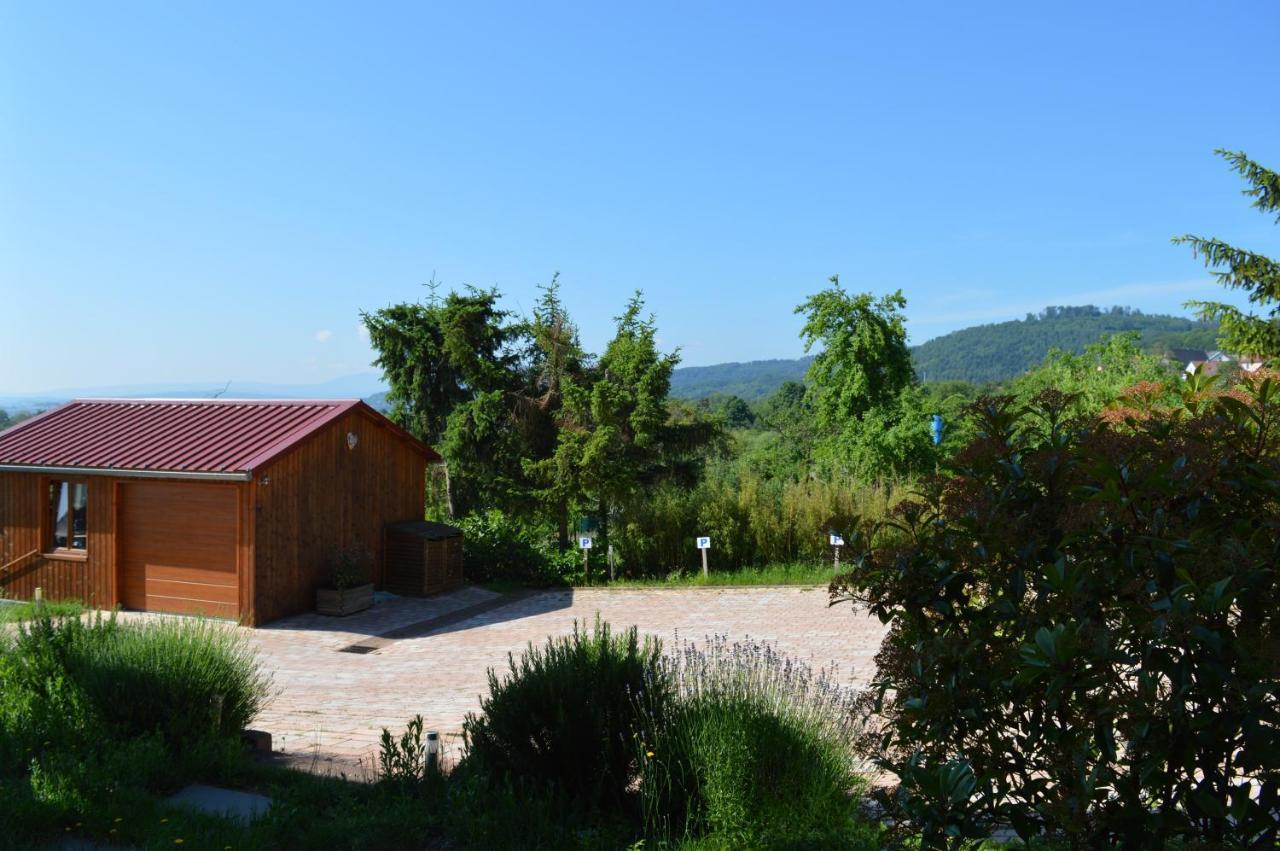 Chambres d'hôtes Les vignes Saint-Jean-Saverne Extérieur photo